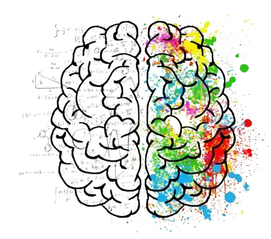 Cognitieve activiteiten